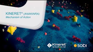 KINERET Mechanism of Action Video