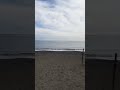 20221008浜須賀晴れ
