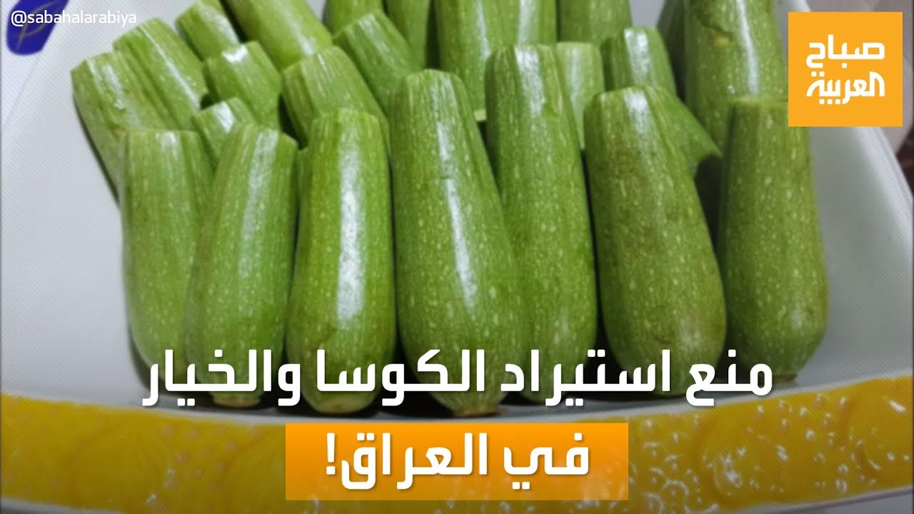 صباح العربية | في العراق.. منع استيراد الكوسا والخيار والبطيخ