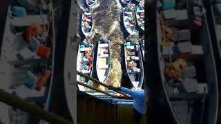 Rio Paraguai Barco Hotel Callypso