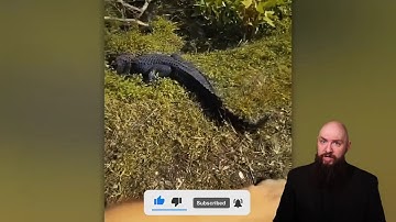 One In A Billion Moments Captured On Camera