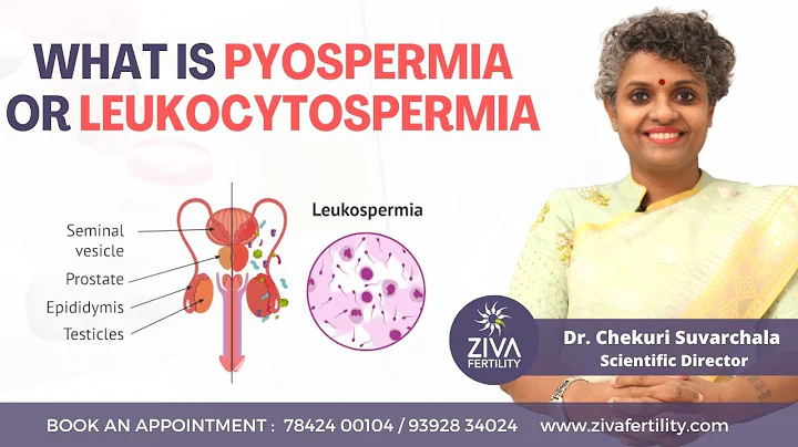 What is pyospermia or leukocytospermia || increase sperm count treatment || Dr Chekuri Suvarchala