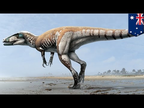 Video: Jejak Kaki Dinosaurus Terbesar Ditemukan Di Australia - Pandangan Alternatif