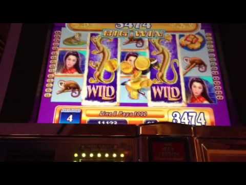 Jogar slots Koi Princess Jogar slots Koi Princess