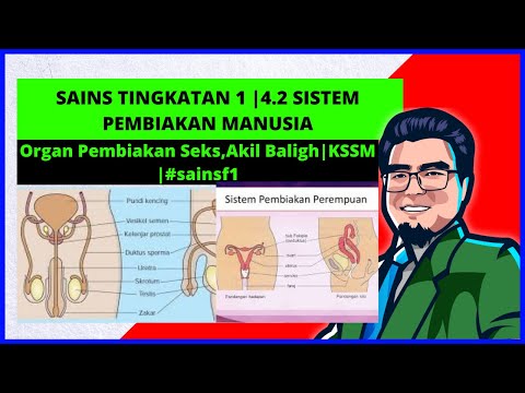 SAINS TINGKATAN 1 | 4.2 SISTEM PEMBIAKAN MANUSIA | KSSM | #sainst1