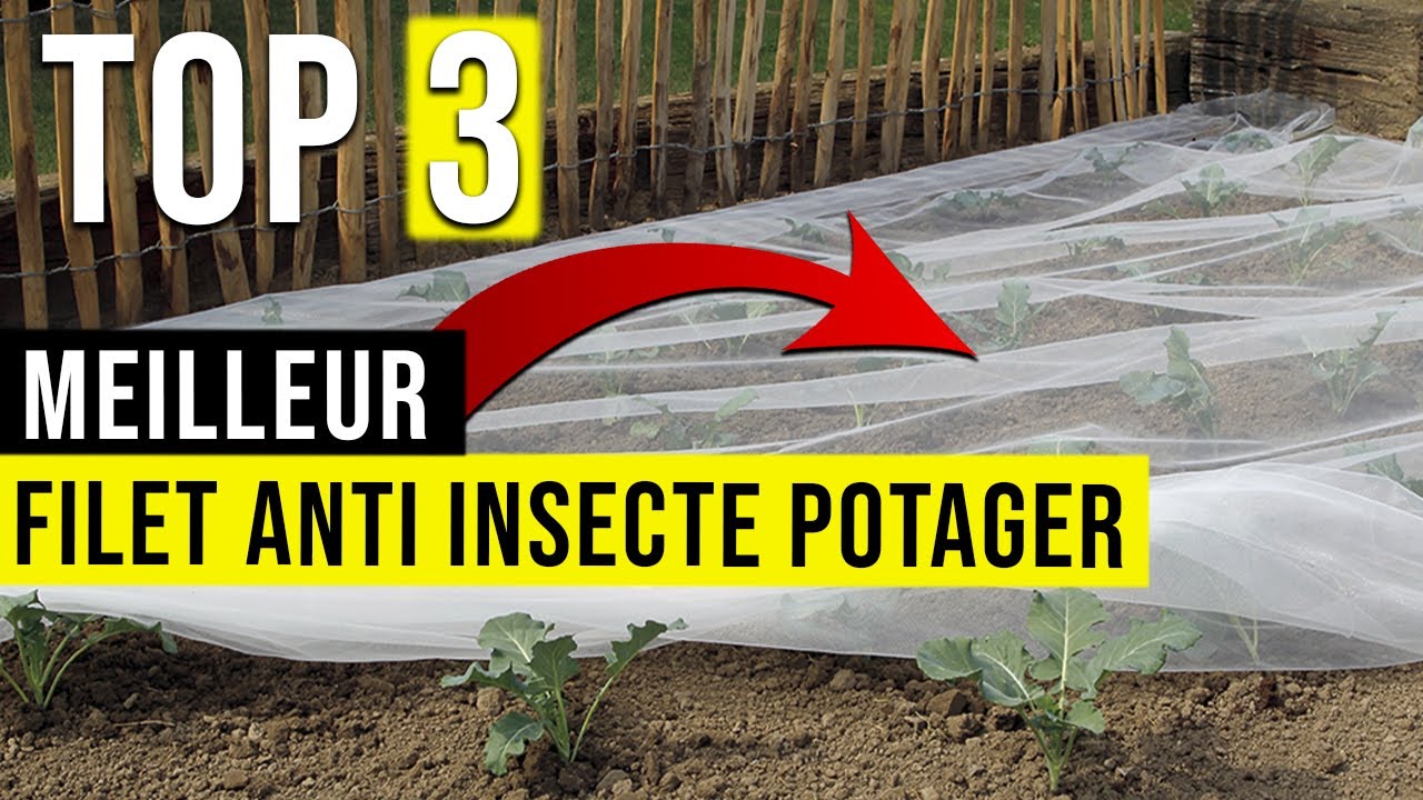 Filet anti-insecte pop-up pour carré potager