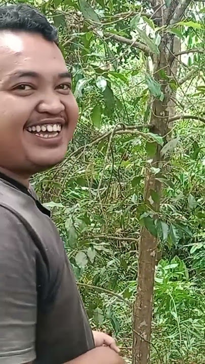 Sang Gembala