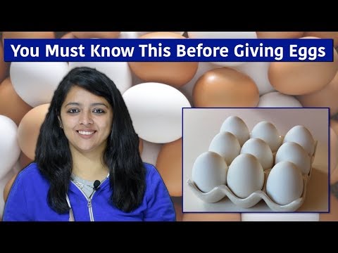 Must Know Facts About Eggs Before Giving Your Baby - YouTube