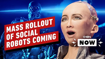 Mass Rollout of Social Robots Expected by End of 2021 - IGN Now
