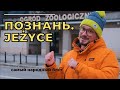 Познань. Какой район выбрать? Jeżyce