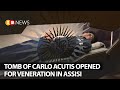 Tomb of Carlo Acutis opened for veneration in Assisi | SW NEWS | 158