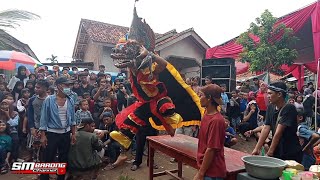 BARONGAN Viral Terbaru ‼️ Barongan NGAMUK sampai TERBANG ‼️ Jaranan Krido Wahyu Budoyo Bumiratu ‼️