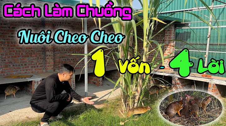 Hướng dẫn chi tiết làm chuồng dê