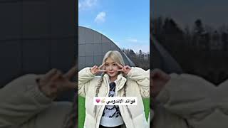 فوائد الاندومي???blackpink newjeans kokyjisso lisajennie rosé GAZA  غزة حرة فلسطين