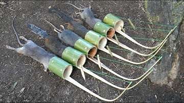 method to be looking for food in the jungle for survival episode 44 I got many rats and squirrels