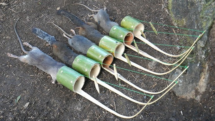 Piège à rats électriques, Zapper à rats Senegal