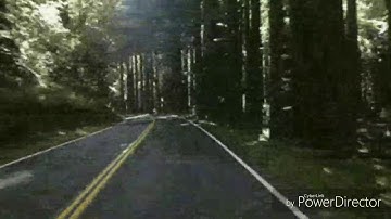 Eddie Rabbitt Every Which Way but Loose Directed by Paul Phillips