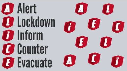 ALICE Training Overview