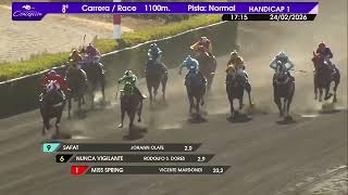 Vidéo de la course PMU PREMIO COMERCIALIZACION Y SERVICIOS RYM