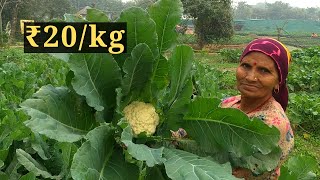 Organic Sabziyon ka Khet near Sandhya Nursery! Cheap Prices Buy Organic Vegetables | Noida Delhi NCR