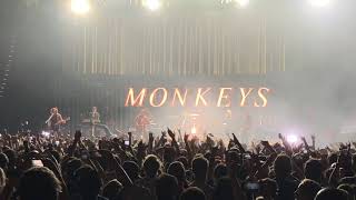 Arctic Monkeys - Do I Wanna Know - Paris, Zénith 30.05.18