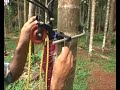 ARECANUT TREE CLIMBER WITH HARVESTING DEVICE