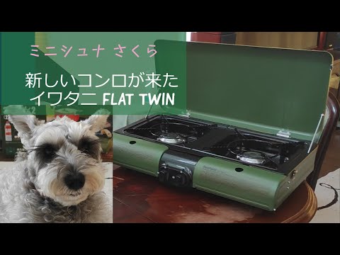 Iwatani FLAT TWIN ～キャンプ用ツーバーナーを新調しました～ - YouTube