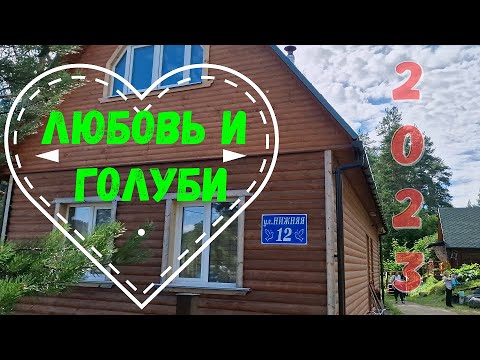 Любовь и голуби. Место сьемок любимого фильма в 2023 году.