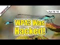 Security Flaws Found In WPA3! Julian Assange Of Wikileaks Arrested - ThreatWire