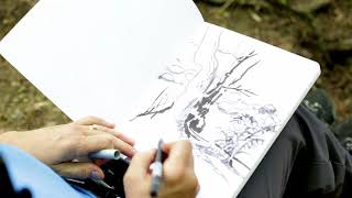 How To Paint Landscapes: Brush Pen Sketch