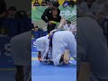 These purple belt battles are intense at the #IBJJFBrasileiros