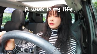 [VLOG] DAILY VLOG | MOM'S 60TH BDAY | CHEONGJU | SUPREME DOSAN | MUKJEON | SPAM KIMCHI FRIED RICE