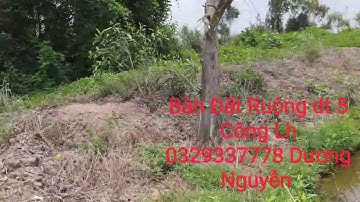 Nhà Đất Bán Đất Ruộng dt 5 Công Giá 160tr Công Tân Thạnh LA