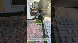 Super Clean Bush Trimming ✅ Satisfying Garden Upgrade!
