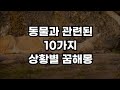 절대 무시해서는 안되는 10가지 동물과 관련된 꿈 해몽