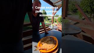 РЫБА ГОРЯЧЕГО КОПЧЕНИЯ ПО ЛИТОВСКИМ РЕЦЕПТАМ. #лещ#коптимдома#копчение#рыба#рецепты