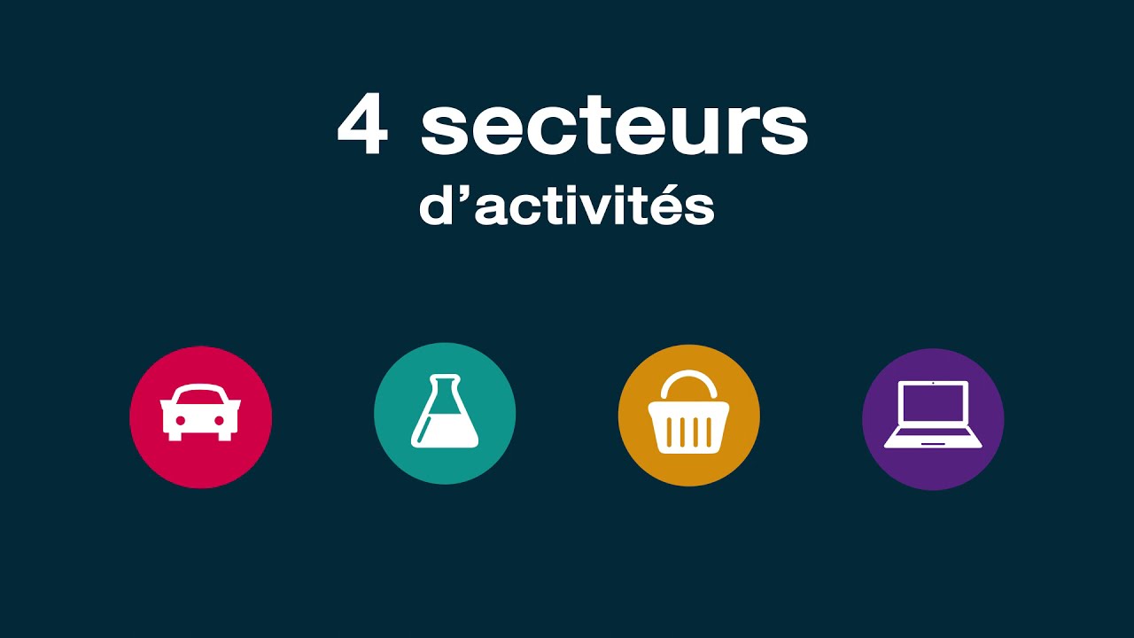 CFAO - Portrait social