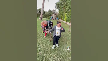 وربنا مش طالع الجبل عمار الزعامه وشادي الزعامه 
