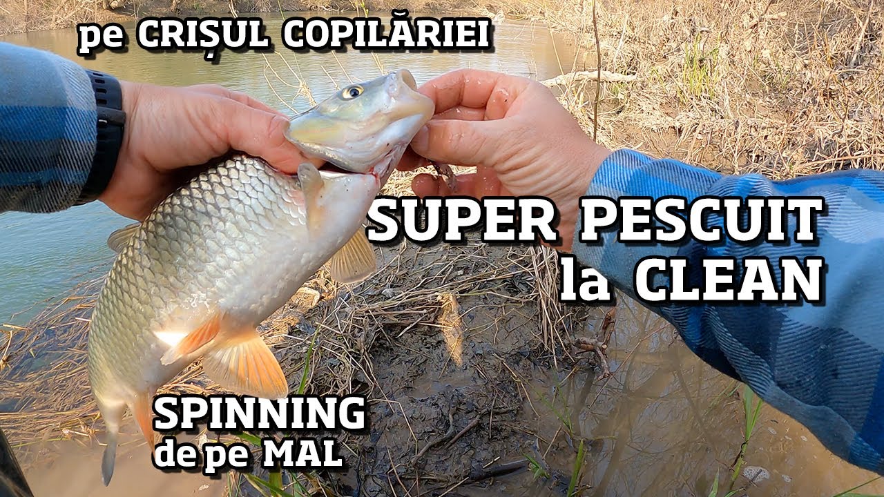 CEL MAI TARE PESCUIT la CLEAN pe CRIS, din ultimii 10 ani -  PESCUIT pe LOCURI Superbe