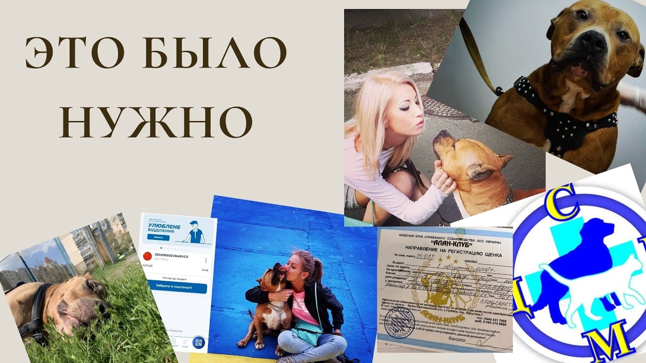 Жизнь, как она есть - посылка с двумя урнами для праха и лотком для яиц