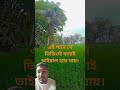 #vlogwithsohelvillagelifestyleinbangladeshbeautiful #shorts #trending #viral