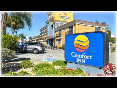 Comfort Inn - Castro Valley: Stay With Us This Summer