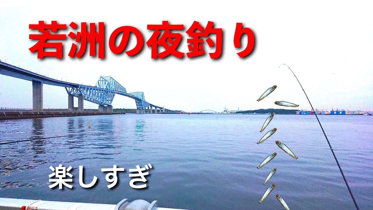 若洲の夜釣り 若洲海浜公園で夜釣りしたら楽しすぎ メバル釣り クロダイ釣り サビキ釣り Youtube 若洲の夜釣り 若洲海浜公園で夜釣りしたら楽しすぎ メバル釣り クロダイ釣り サビキ釣り Youtube