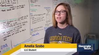 GT LLCs Explore