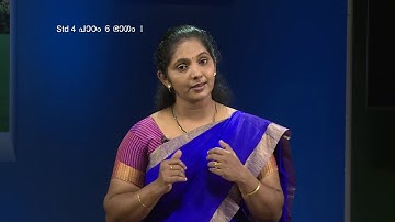 MANE NOBISCUM | Std 3 & 4 | Lesson 6 | Module 1 | SUNDAY CATECHISM | പാപം