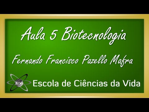 Vídeo: Qual é o objetivo da purificação do produto de PCR?