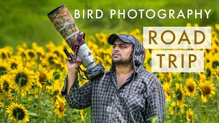 ROAD TRIP to the Countryside of India | BIRD PHOTOGRAPHY On Location