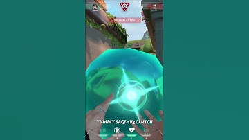 SAGE SAYS "I AM NOT JUST YOUR HEALER" #valorant #valorantclips #valoranthighlights