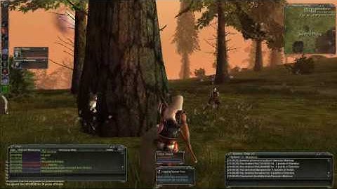 Darkfall hacker in action 1