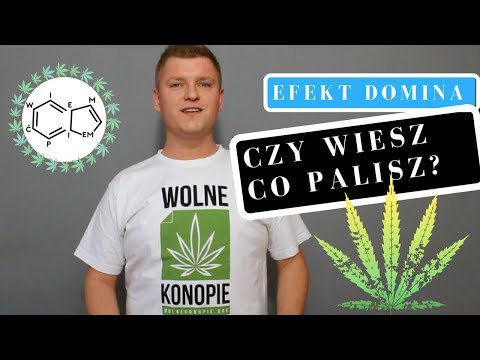 MARIHUANA - CO WARTO O NIEJ WIEDZIEĆ - Wiem co Ćpiem